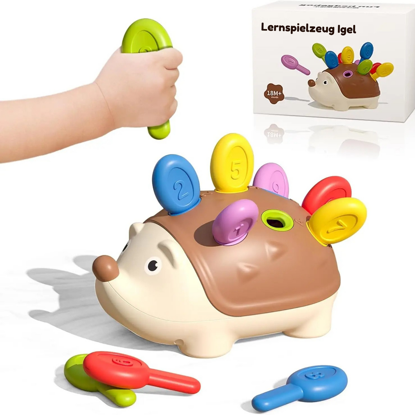 Hedgy™ | Lernspielzeug Igel