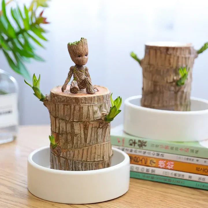 WoodlandNook - Mini-Terrarium für frische Luft und positive Energie