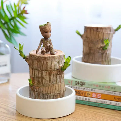 WoodlandNook - Mini-Terrarium für frische Luft und positive Energie
