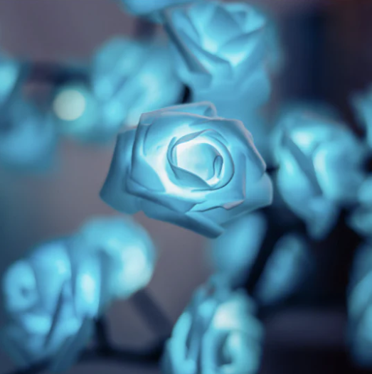 BloomVerve - Strahlende Rosenlampe