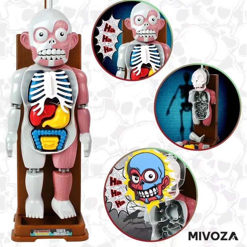 50 % RABATT | OrganCreep™ Gruseliges Modell des menschlichen Körpers