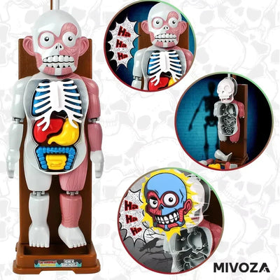 50 % RABATT | OrganCreep™ Gruseliges Modell des menschlichen Körpers