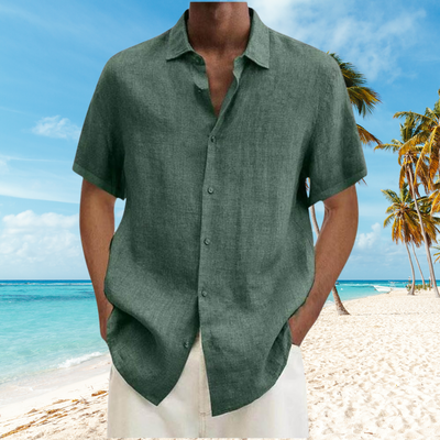 David - Knitterfreies Herrenhemd aus Baumwolle