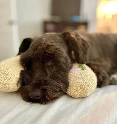 CuddleCloud - Tierkissen