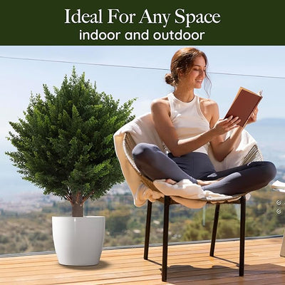 GrünZauber™ Sofortiges Landschafts-Upgrade