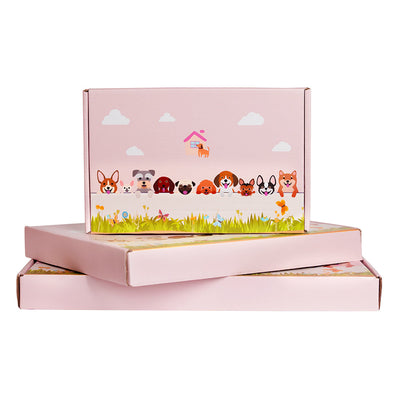 Springer Spaniel Flower Pot