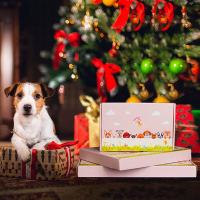 Siamkatze Pflanzgefäß