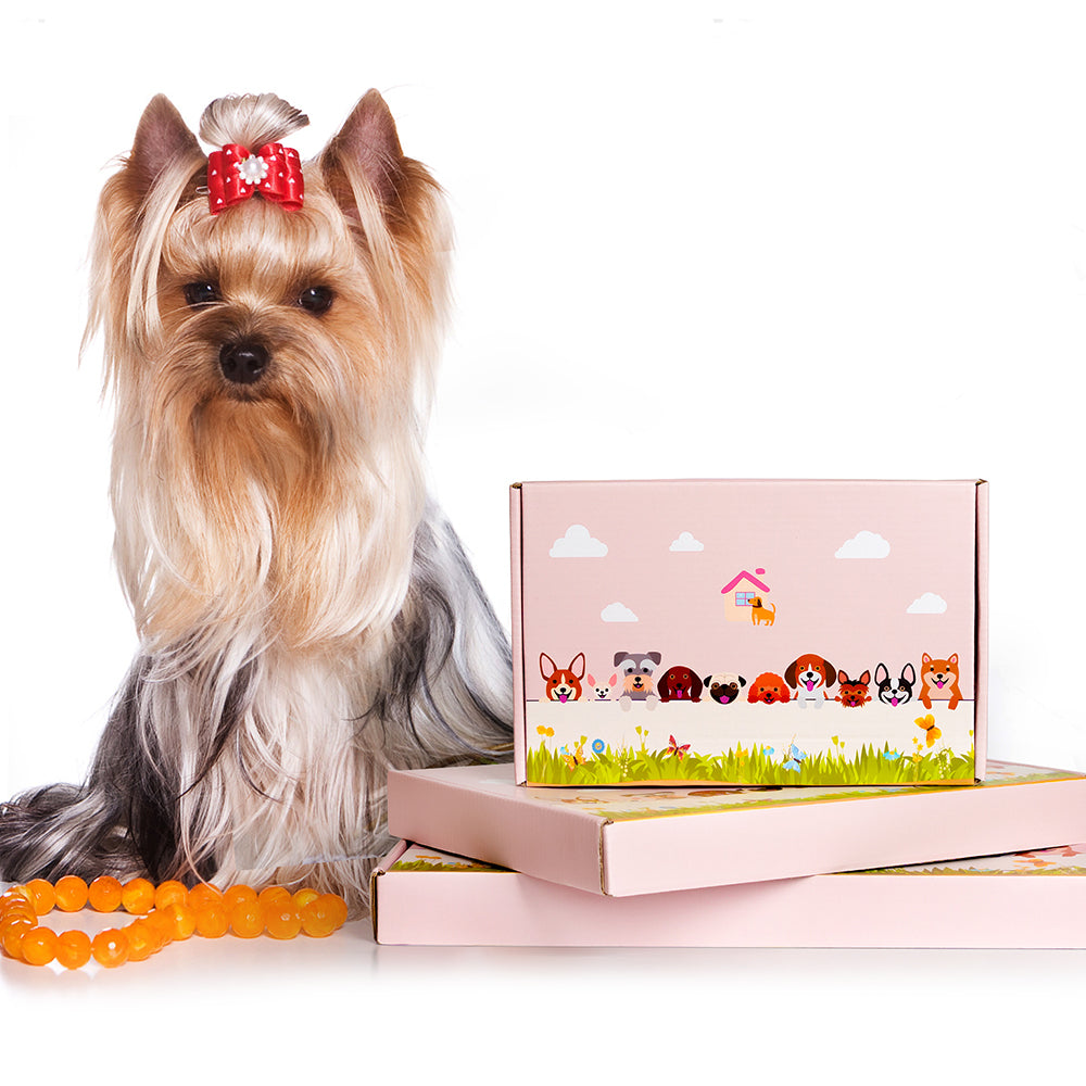 Marienkäfer Pflanztopf